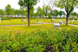 绿树草地