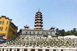 墓区图片