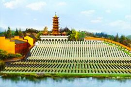 墓区环境
