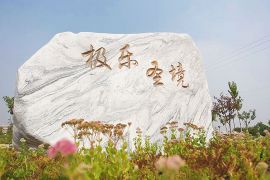 花枝招展