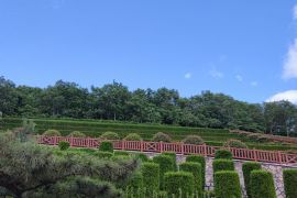 春日风景