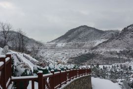 冬日景色