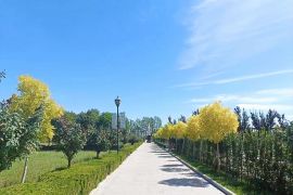 陵园道路