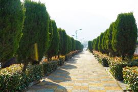 陵园主路