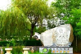 绿树草地