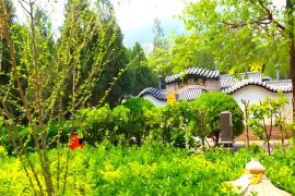 风和日丽