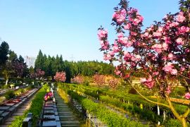花花草草