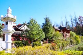 绿树草地