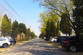 陵园道路