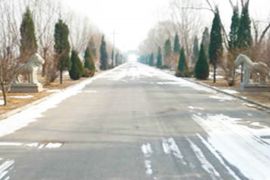 冬日主路
