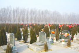 墓区环境