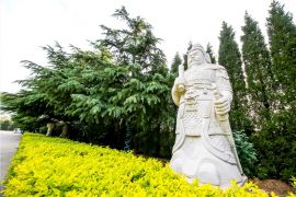 郁郁葱葱