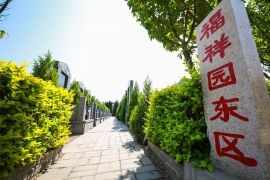 墓区正门