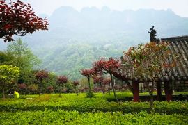 春日风景