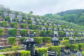 墓区环境