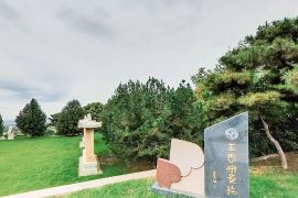 墓区图片