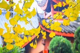 园区环境