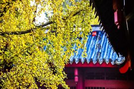 园区环境