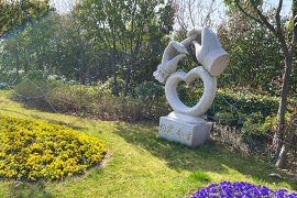 花花草草