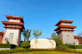 陵园风景