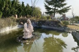 陵园湖水