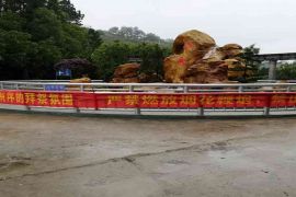 陵园风景