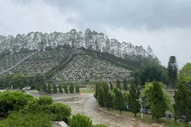 墓区小路