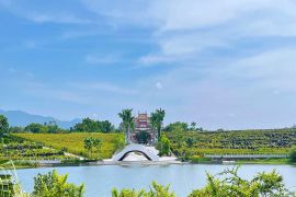 风和日丽