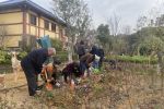 灵山后花园2024年植树节活动须知