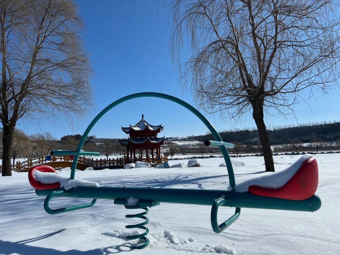 哈尔滨明西园公墓—雪花和春天撞了个“满怀”~