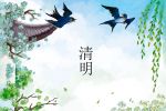哈尔滨明西园公墓2024清明节祭扫须知及预约班车