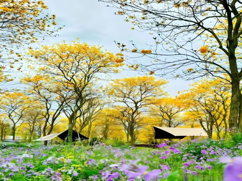 赏花打卡 | 较美人间四月天 成都这些赏花地错过等一年