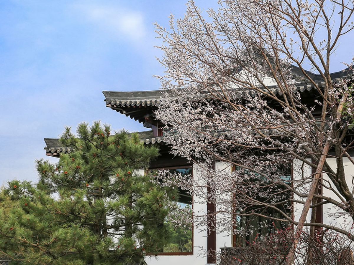 西安寿阳山墓园的安葬流程介绍，寿阳山墓园咨询电话
