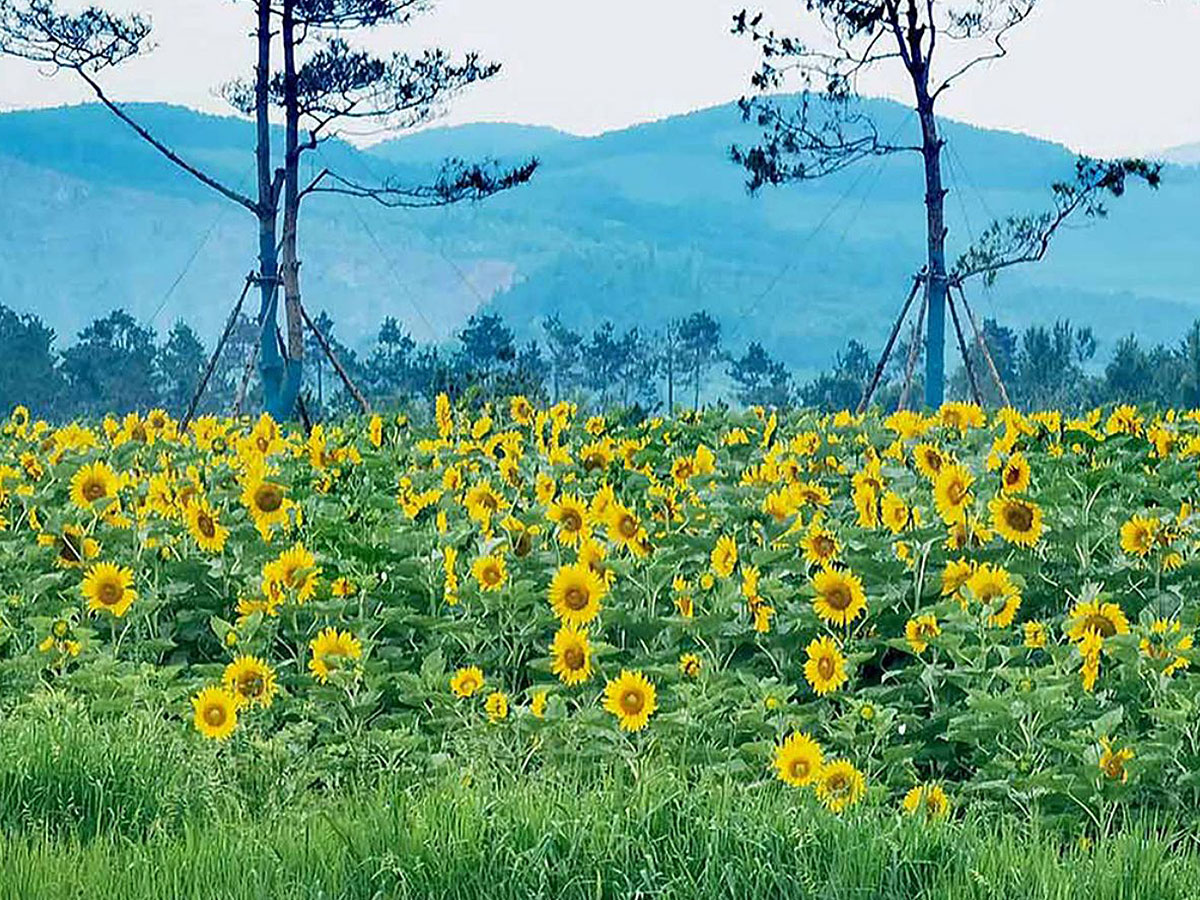 哈尔滨元宝山陵园价格表，元宝山陵园性价比高吗？