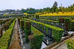 成都凤凰陵园距离市区近吗？凤凰陵园价格贵吗？