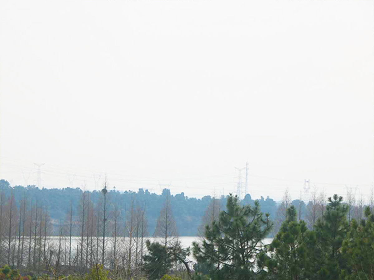 自然风景