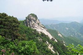 园区景观