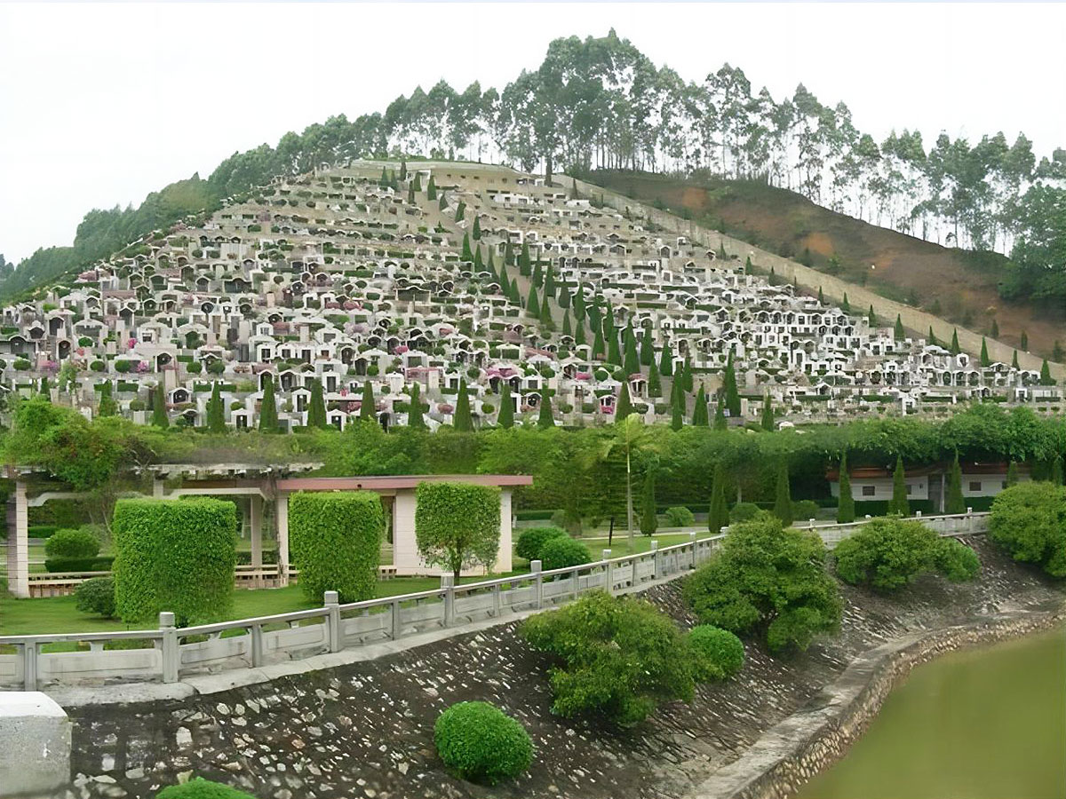 墓区远景