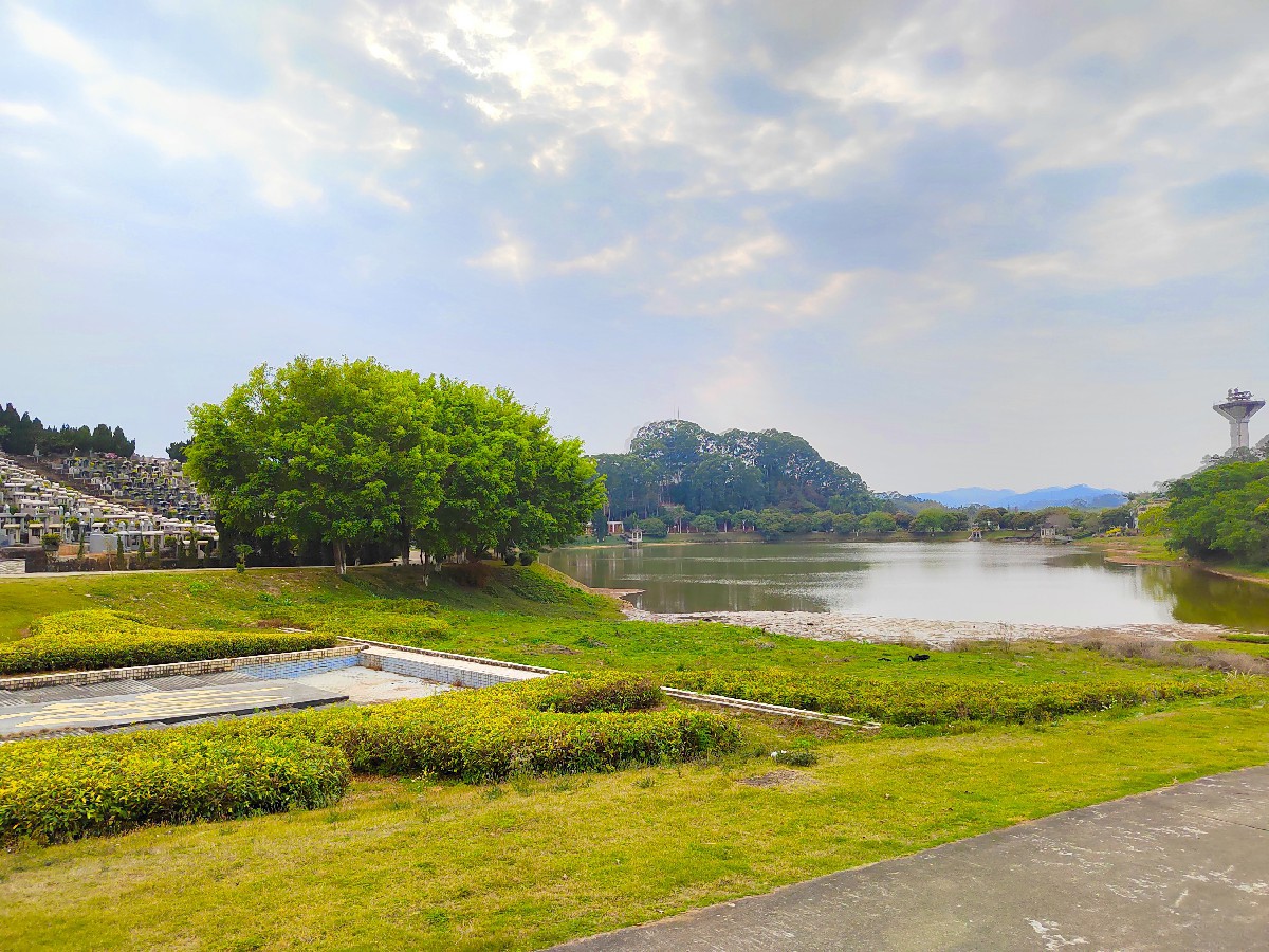 园区水景
