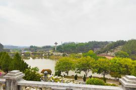 园区水景