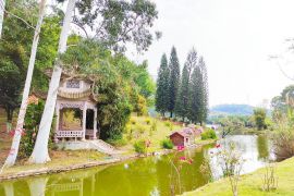 园区远景