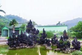 园区景色