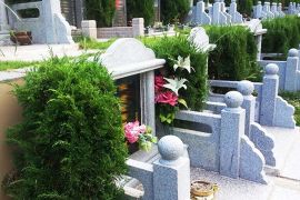 墓区环境