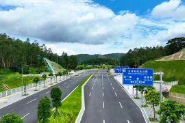 园区道路