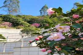 园区环境