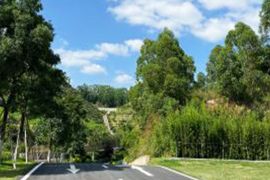园区道路