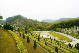 墓区环境