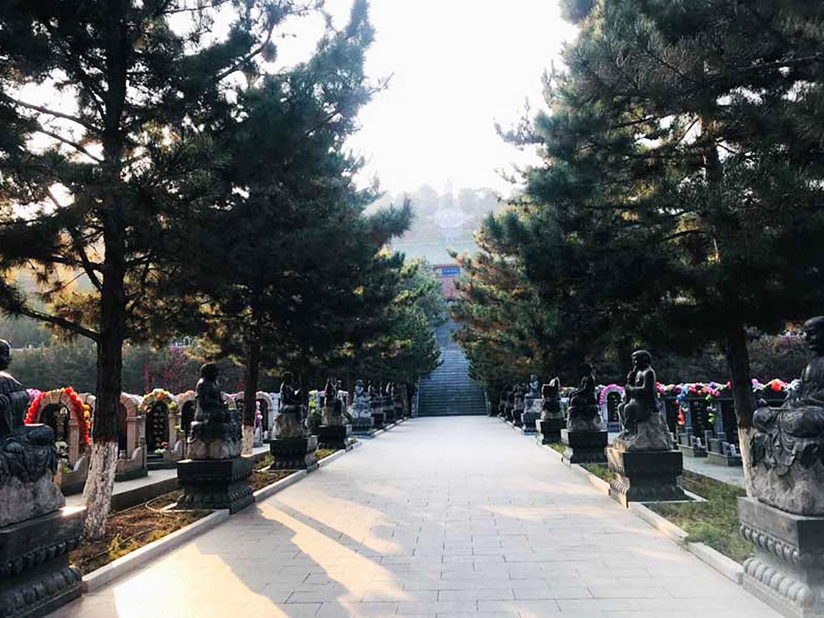 墓区道路