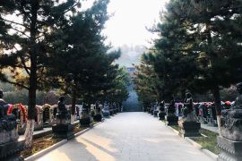 墓区道路