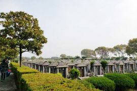 墓区环境